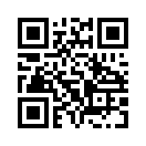 QR CODE 506