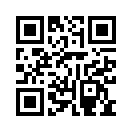 QR CODE 511