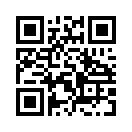 QR CODE 514