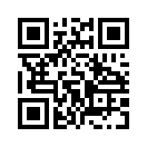 QR CODE 528