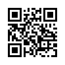 QR CODE 529