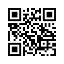 QR CODE 538