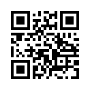 QR CODE 568