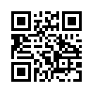 QR CODE 584