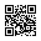 QR CODE 660