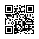 QR CODE 677