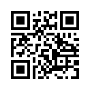 QR CODE 689