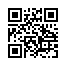 QR CODE 737
