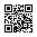 QR CODE 739