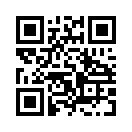 QR CODE 742