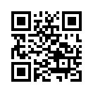QR CODE 216