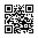 QR CODE 289