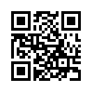 QR CODE 734