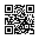 QR CODE 737