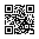 QR CODE 813