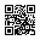 QR CODE 913