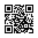 QR CODE 993