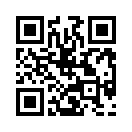 QR CODE 42