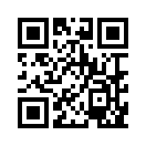 QR CODE 110