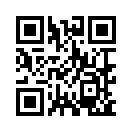 QR CODE 1179