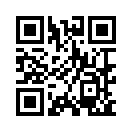 QR CODE 1271