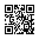 QR CODE 181