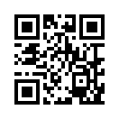 QR CODE 289