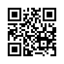 QR CODE 329