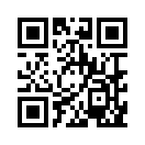 QR CODE 913