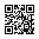 QR CODE 925