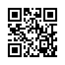 QR CODE 990