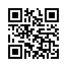 QR CODE 1100