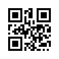 QR CODE 229