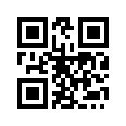 QR CODE 461