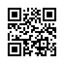 QR CODE 133