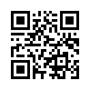 QR CODE 329
