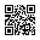 QR CODE 461