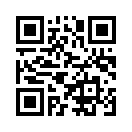 QR CODE 501