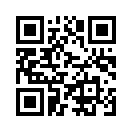 QR CODE 528