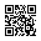 QR CODE 538