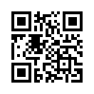 QR CODE 133