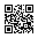 QR CODE 161