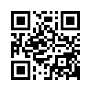 QR CODE 223