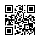 QR CODE 228