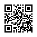 QR CODE 236