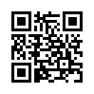 QR CODE 110