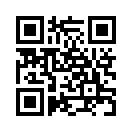 QR CODE 181