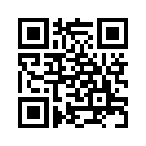 QR CODE 213