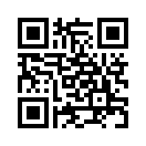 QR CODE 260