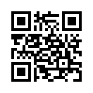 QR CODE 305